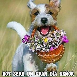 Meet your Posher, Casilda